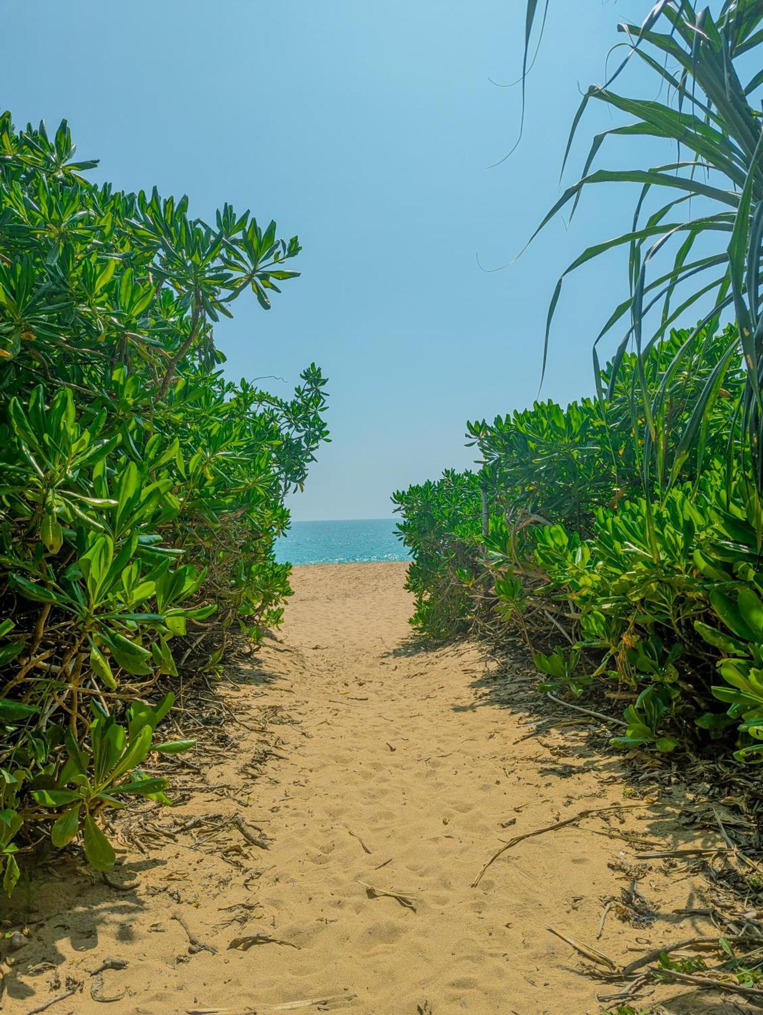 Southern Edge Cabanas Tangalle Exterior foto