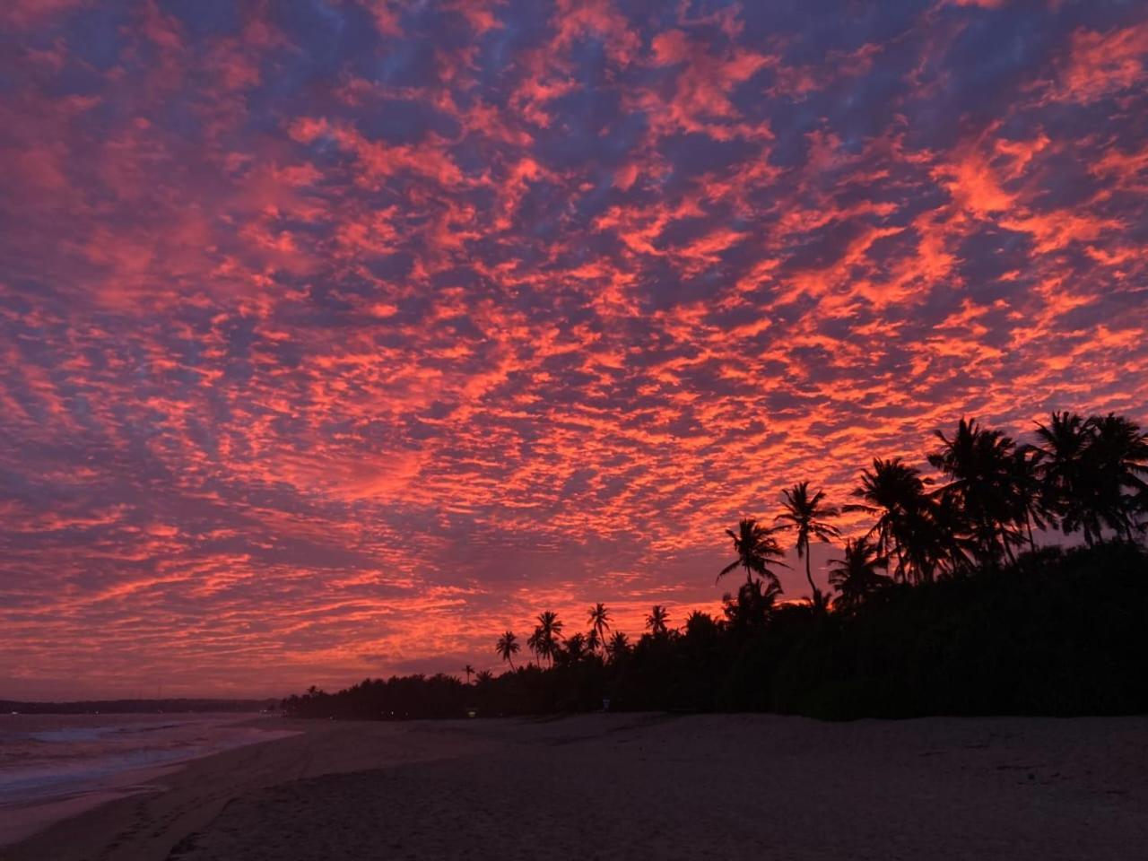 Southern Edge Cabanas Tangalle Exterior foto