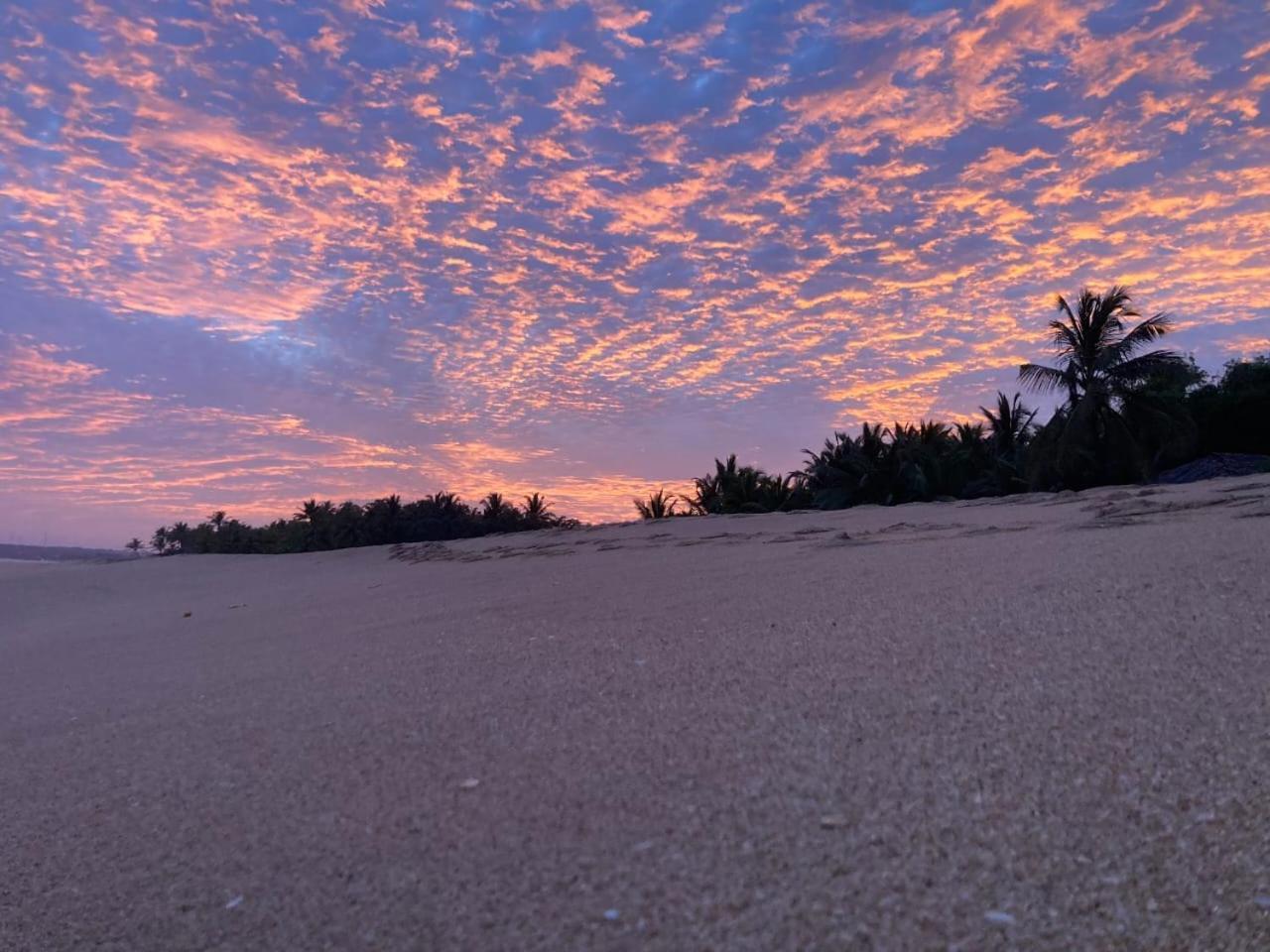 Southern Edge Cabanas Tangalle Exterior foto